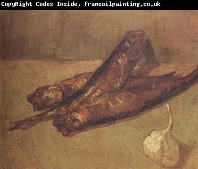 Vincent Van Gogh Still Life with Bloaters and Garlic (nn04)